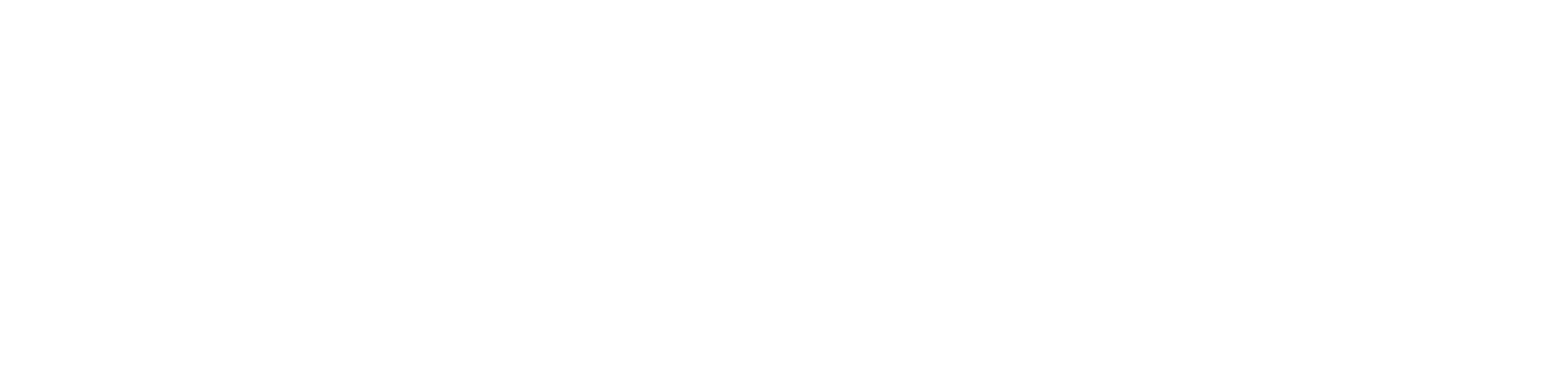 Local Solutions logo